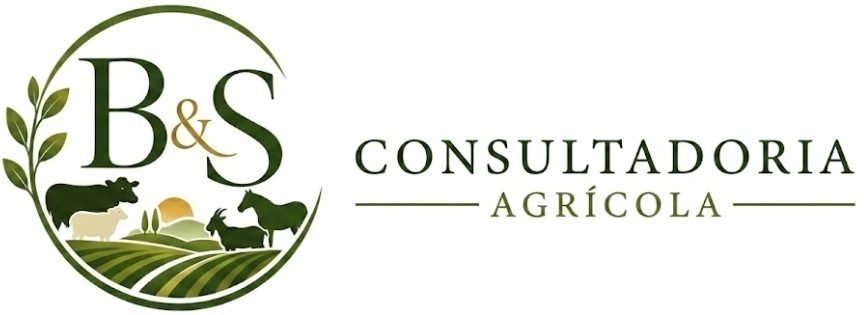 BS Consultadoria Agrícola