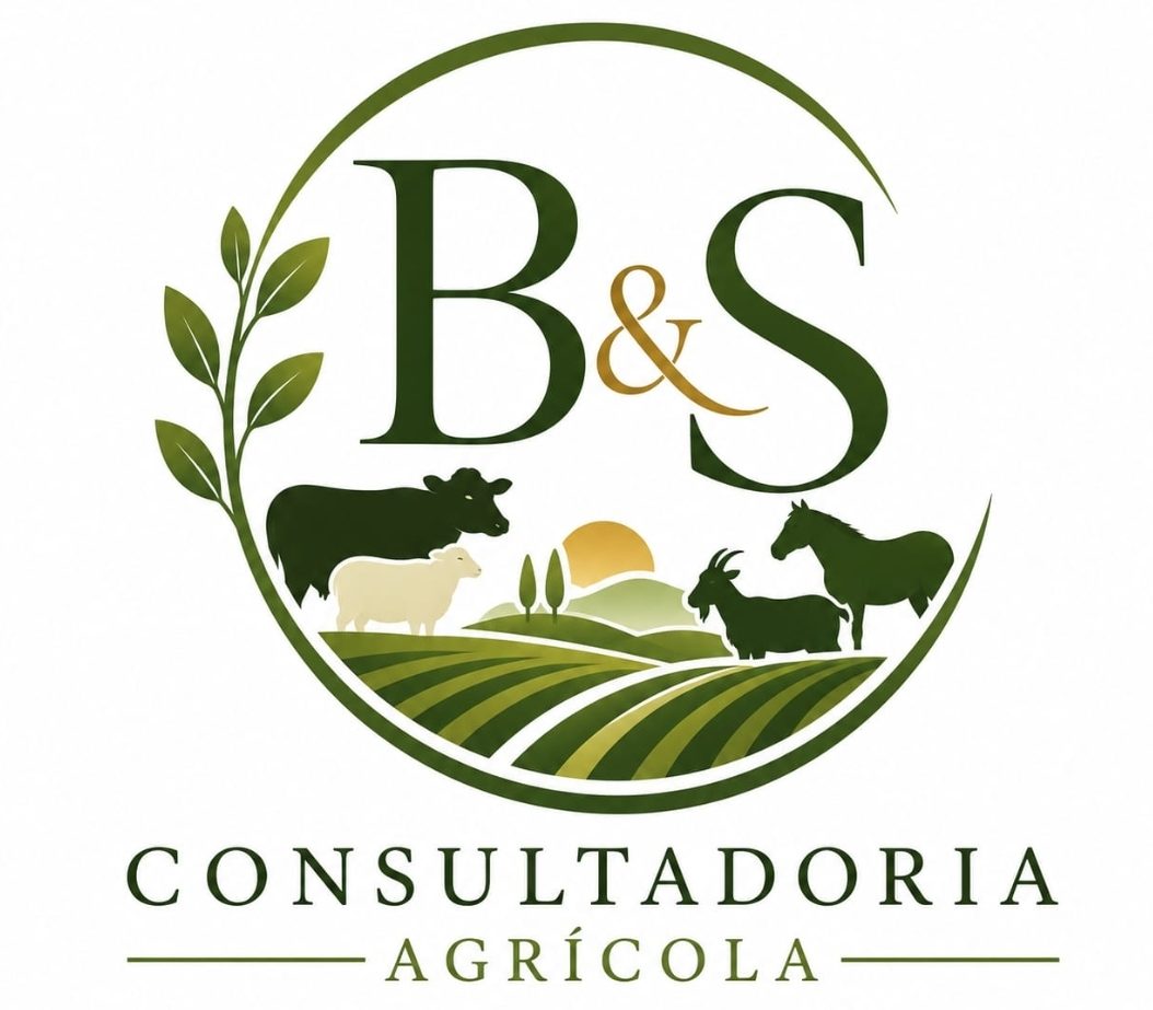 B&S Consultadoria Agrícola